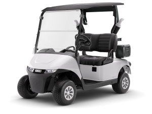 E-Z-GO Freedom RXV Fleet EX1 Gas