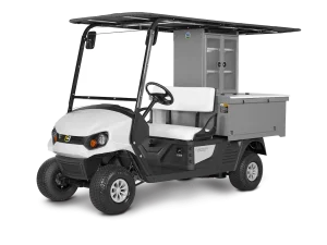 Cushman Refresher Oasis EFI Gas