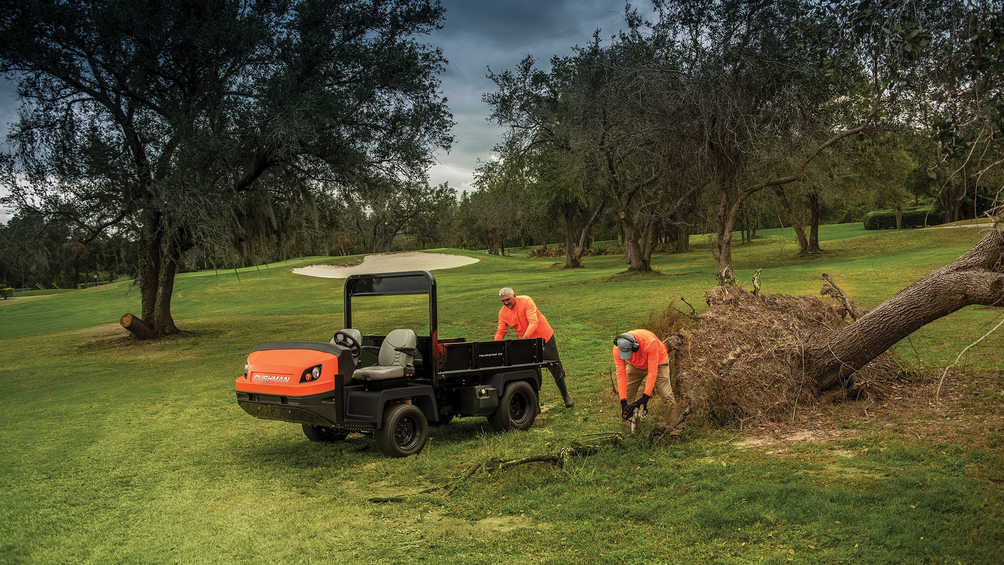 Cushman Truckster XD Gas 4WD - Image 2