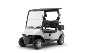 E-Z-GO RXV Fleet EX1 Gas